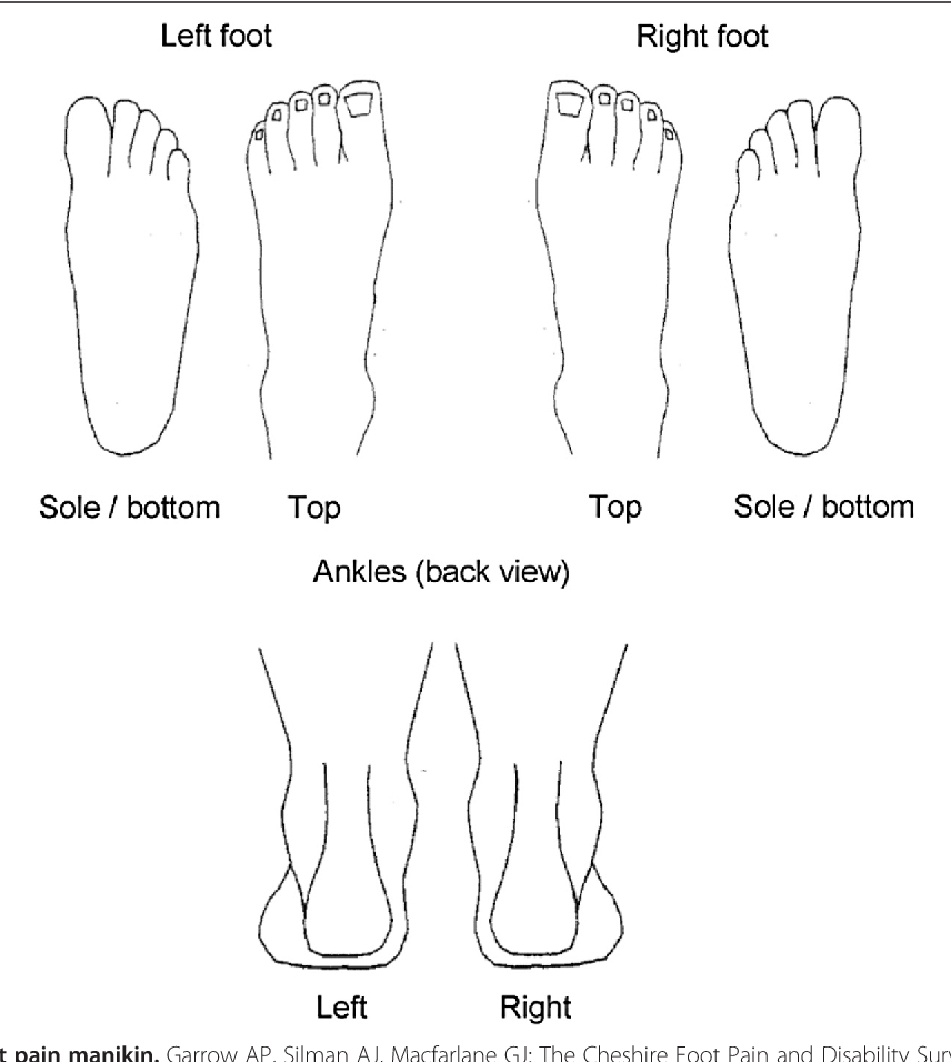 Foot Pain Diagram Figure 1 From Inter And Intra Rater Repeatability Of The Scoring Of