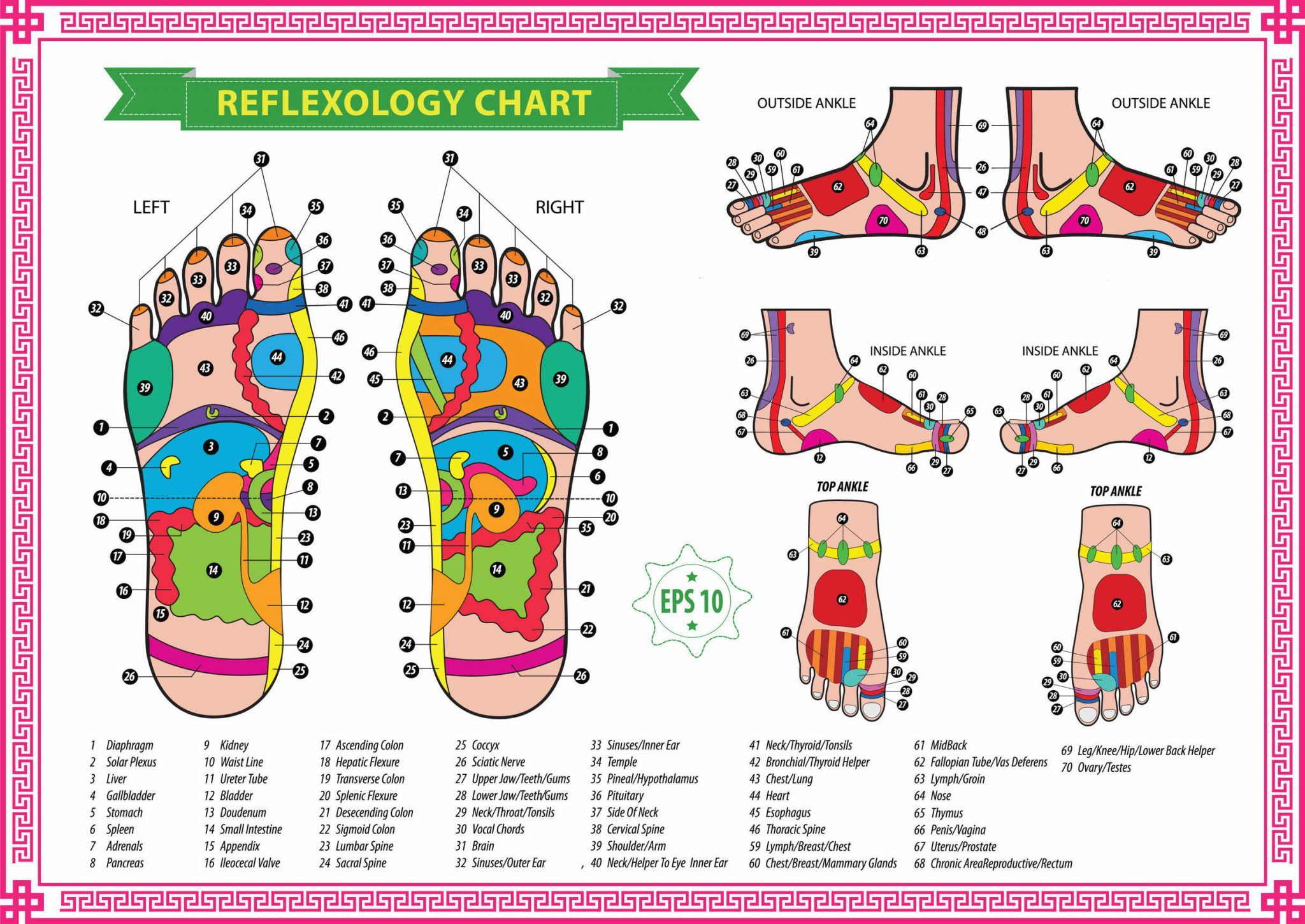 Foot Reflexology Diagram Free Reflexology Charts Points For Specific Ailments