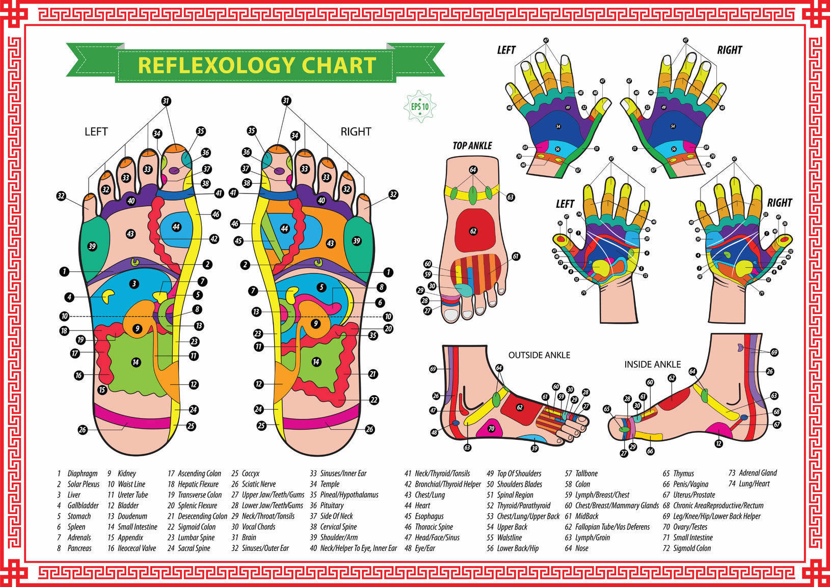 Foot Reflexology Diagram Free Reflexology Charts Points For Specific Ailments