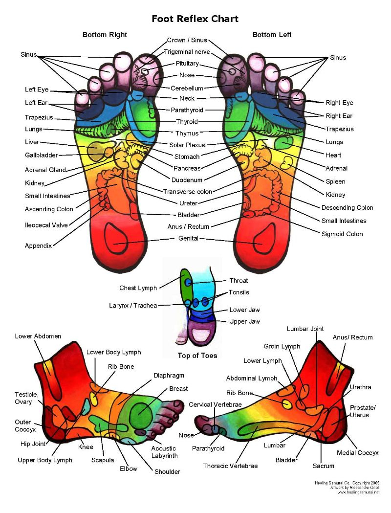 Foot Reflexology Diagram Reflexology Chart Feet