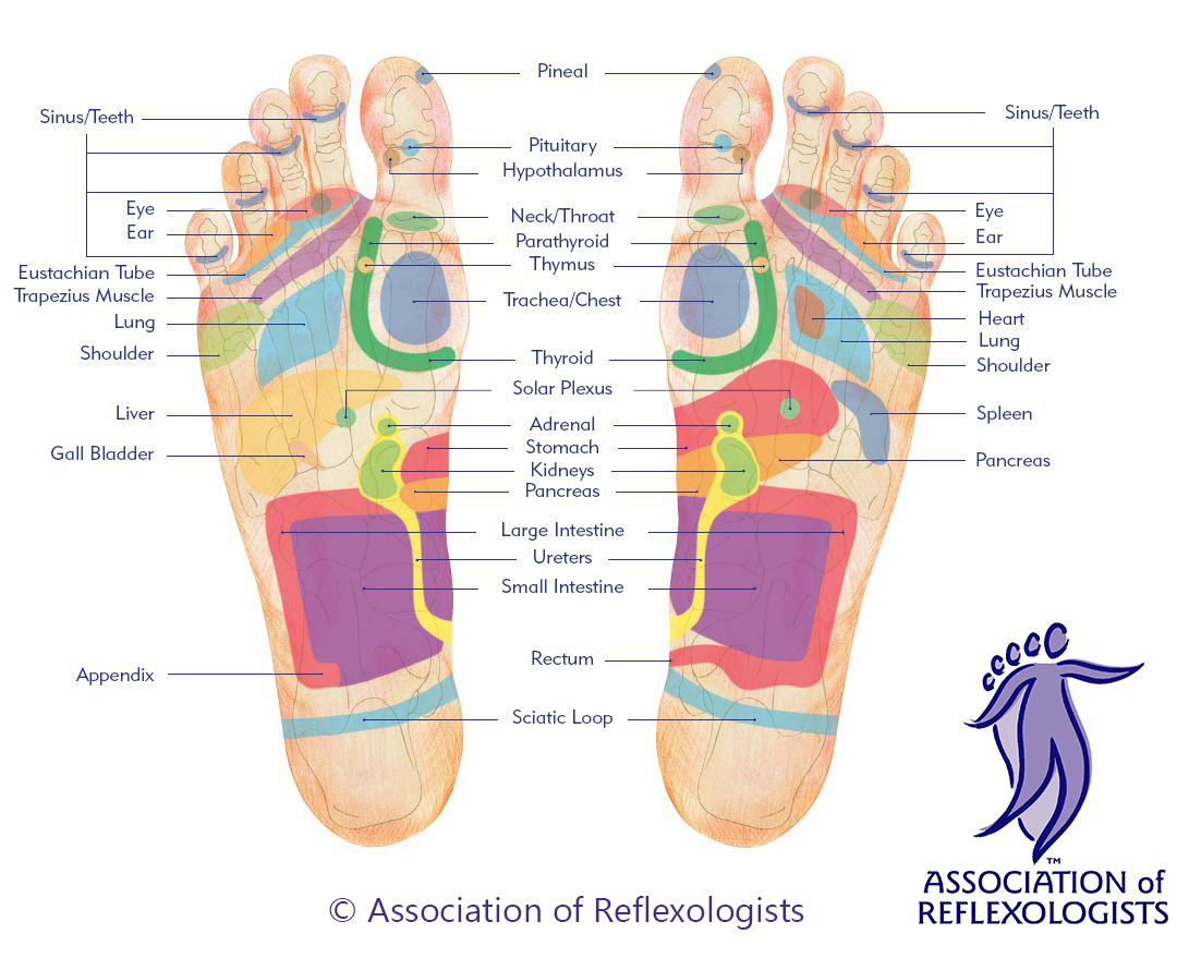 Foot Reflexology Diagram Reflexology The Secret Space