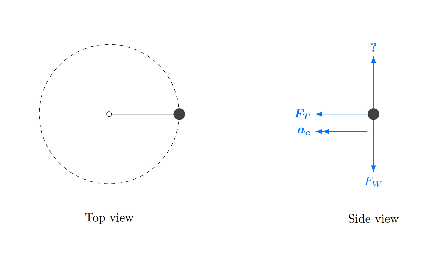 Free Body Diagram Definition Explain Why Centripetal Force Never Shows Up On Afree Body Diagram