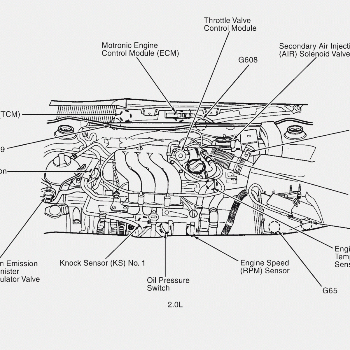 Fuel Pump Diagram Fuel System Diagram On 2000 Vw Beetle Engine Diagram Sensor Unit