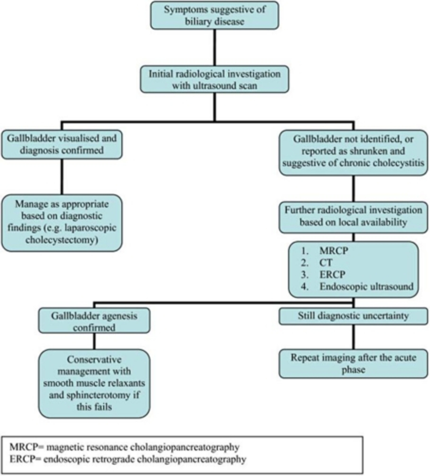 Gallbladder Pain Location Diagram Algorithm For Workup And Management Of Gallbladder Agenesis As