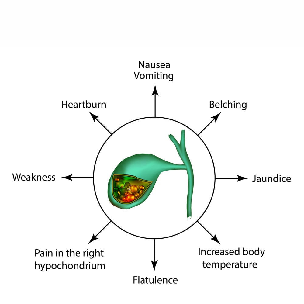 Gallbladder Pain Location Diagram Pain In Your Gallbladder Check With Your Family Medicine Doctor For