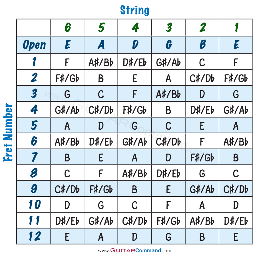 Guitar Notes Diagram Guitar Strings Notes Chart Tab Info Tune Up Master The Fretboard
