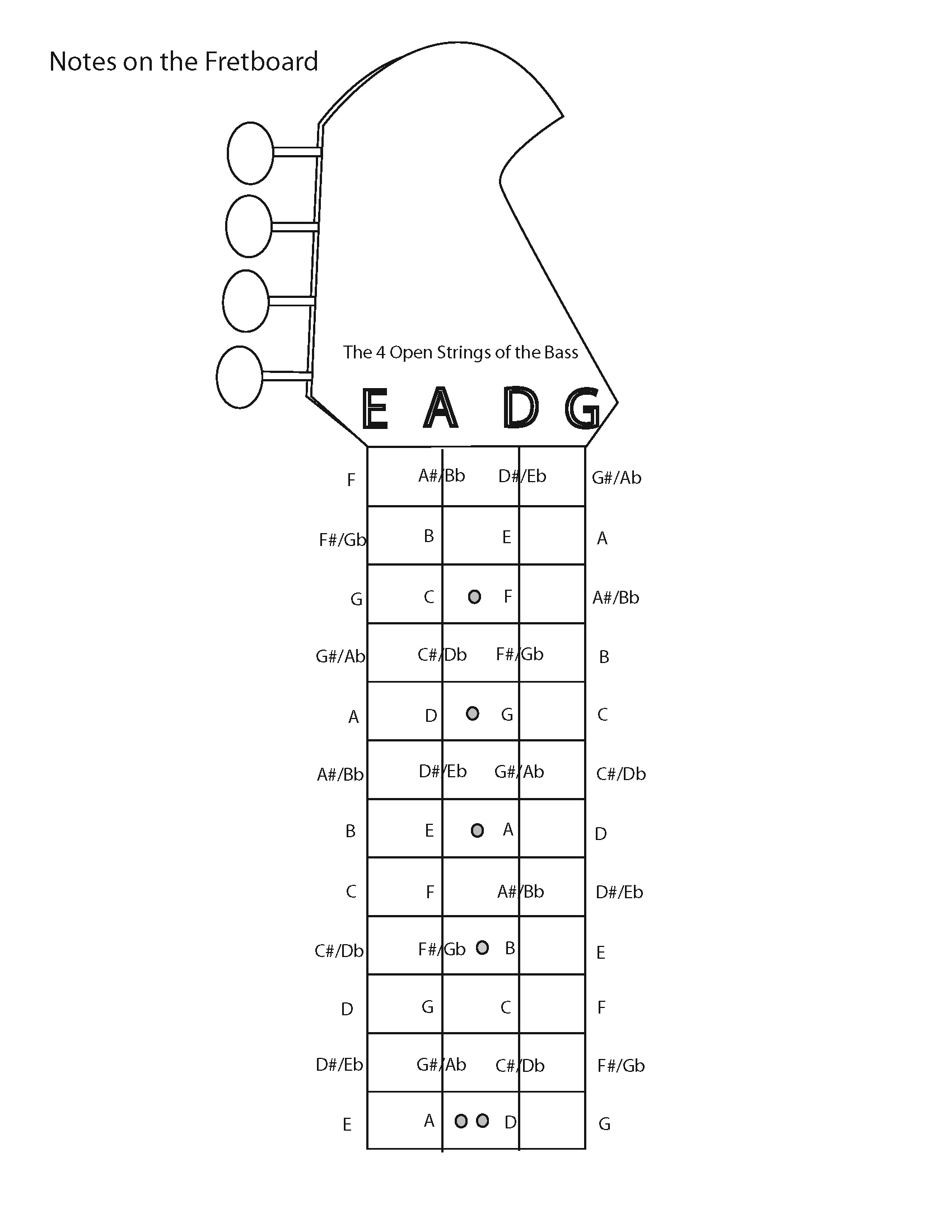 Guitar Notes Diagram Template Bass Guitar Notes Chart Chart