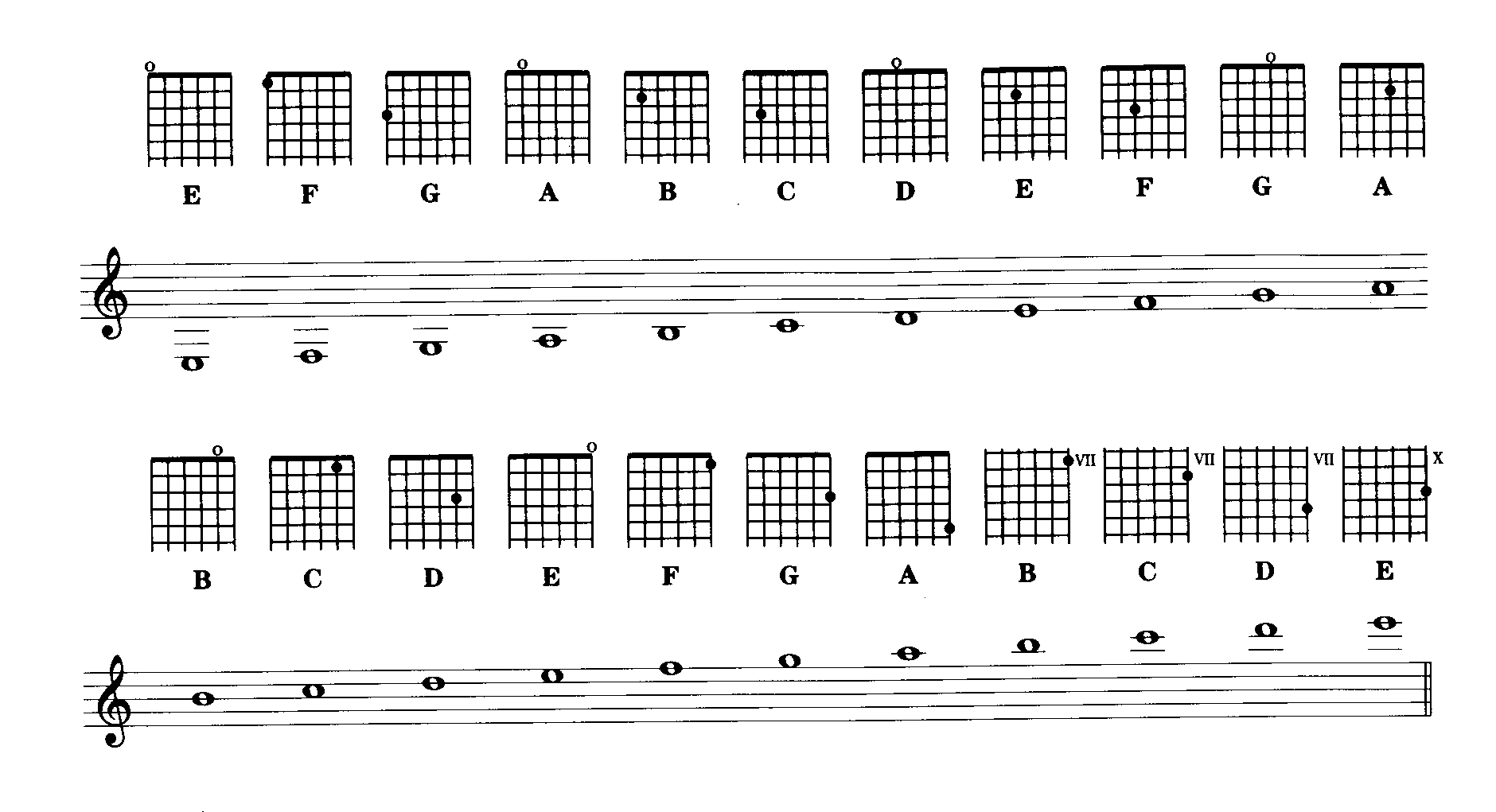 Guitar Notes Diagram Untitled