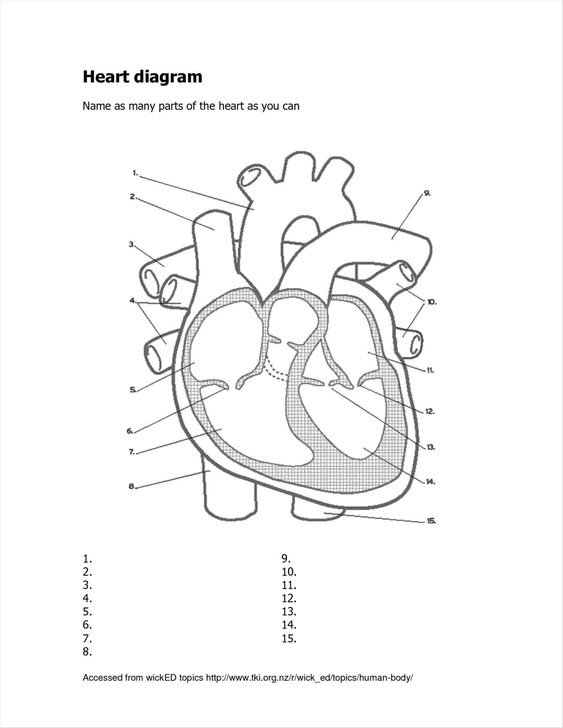 Heart Diagram Labeled Seerhbodytomycom A Heart Labeled Diagram Labeled Diagram Of The