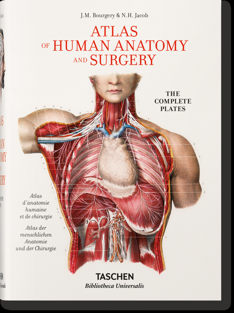 Human Anatomy Diagram Jean Marc Bourgery Atlas Of Human Anatomy And Surgery
