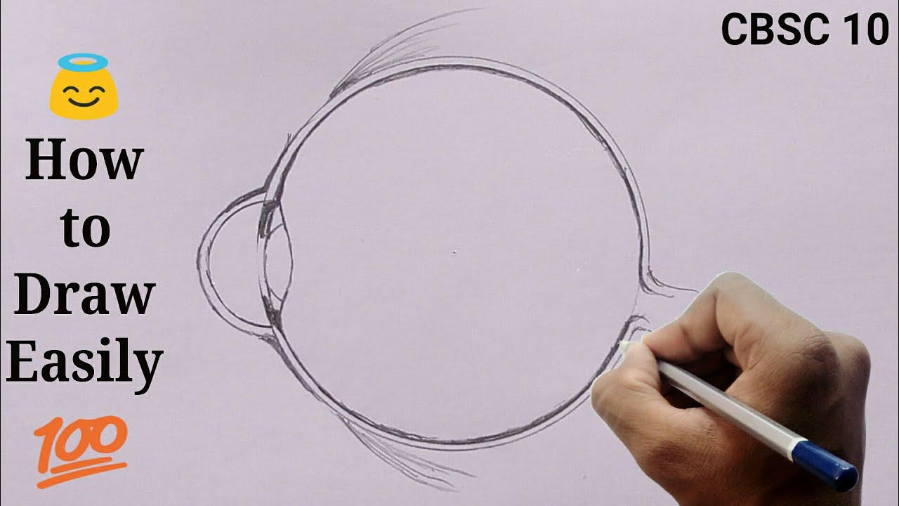 Human Eye Diagram How To Draw Human Eye Diagram Step Step For Beginners