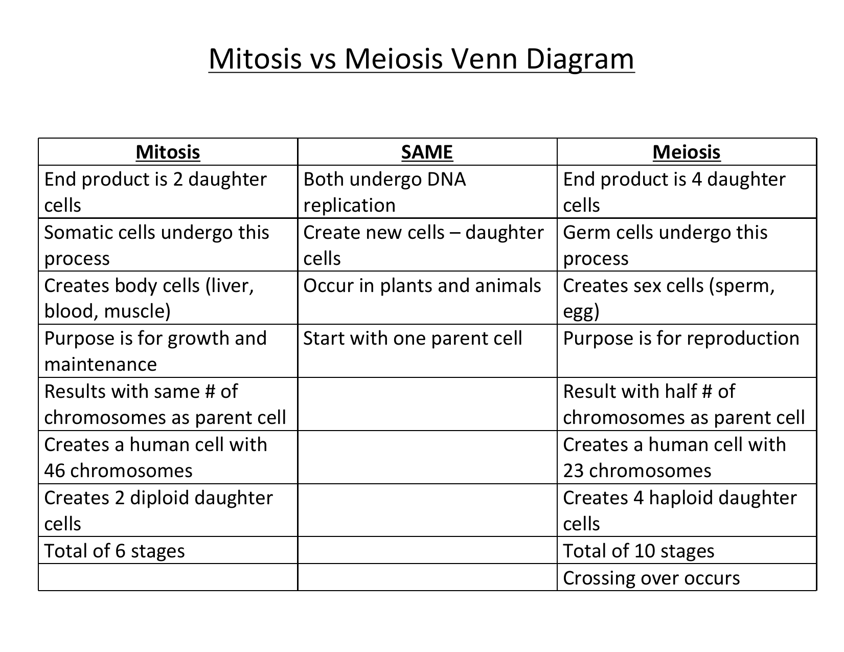 Mitosis Meiosis Venn Diagram Exatin info
