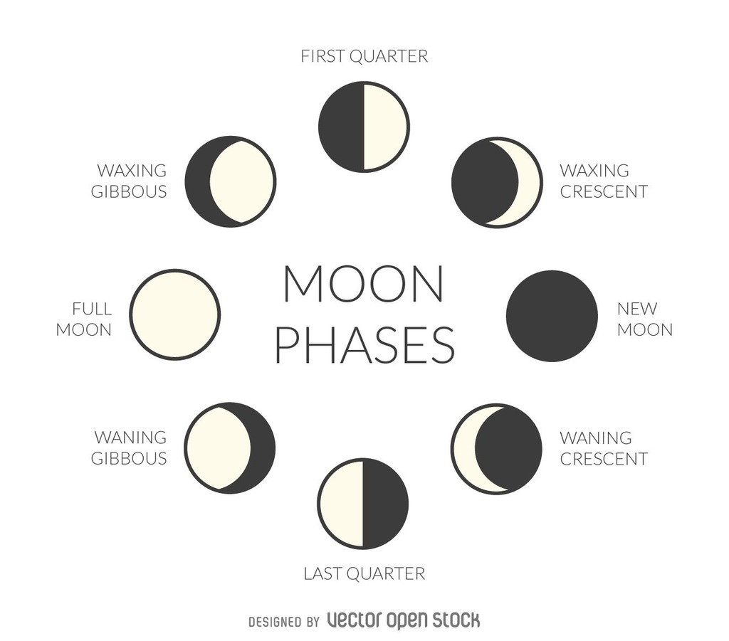 New Moon Diagram Phases Of The Moon Diagram Quizlet