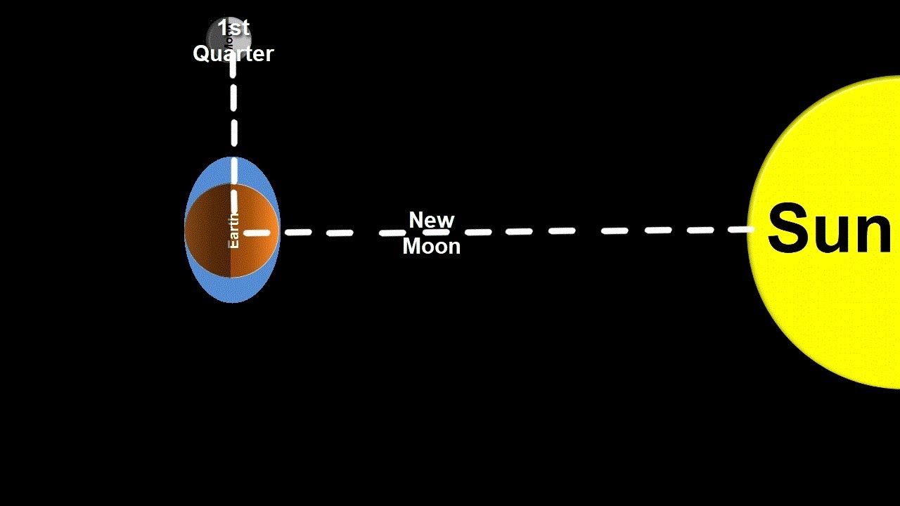 New Moon Diagram Space Science Tutorial Spring And Neap Tides