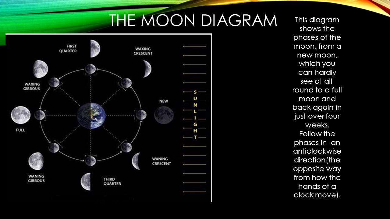 New Moon Diagram The Moon Danielle Campbell Ppt Video Online Download