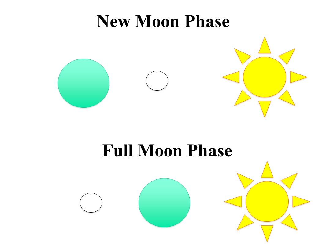 New Moon Diagram Thursday Science Question Of The Day Which Diagram Best Shows The