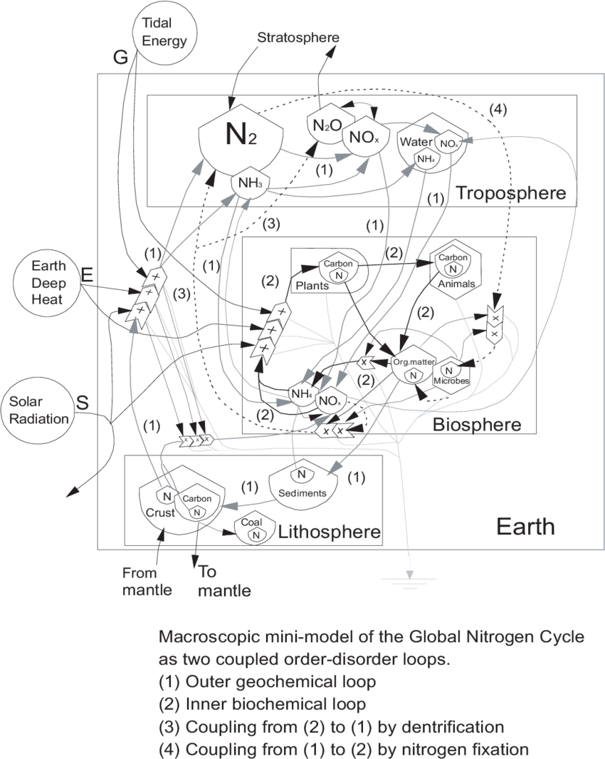 Nitrogen Cycle Diagram An Overview Energy Systems Model Of The Global Nitrogen Cycle