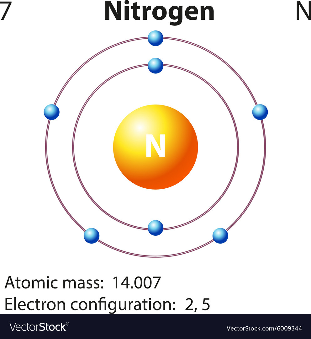 Nitrogen Cycle Diagram Diagram Of Nitrogen Wiring Diagram Content