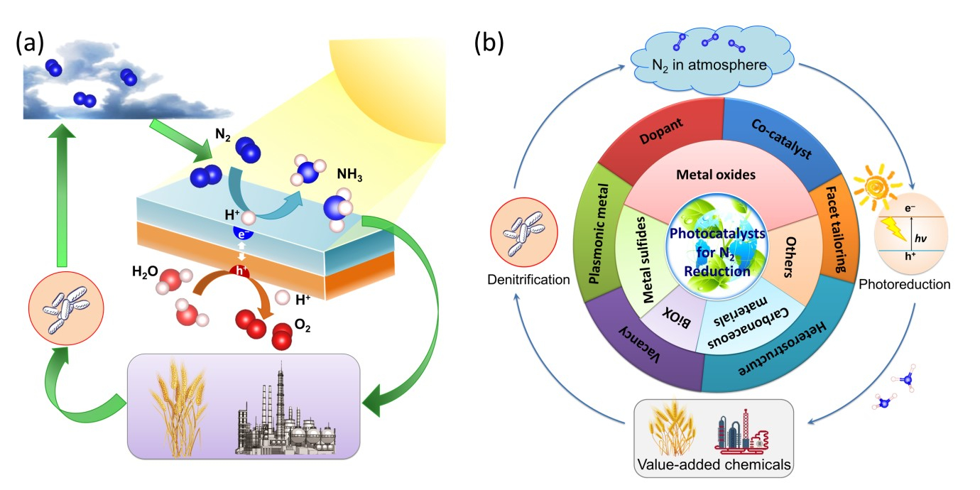 Nitrogen Cycle Diagram Solar Driven Nitrogen Fixation To Ammonia Lighting The Way Toward