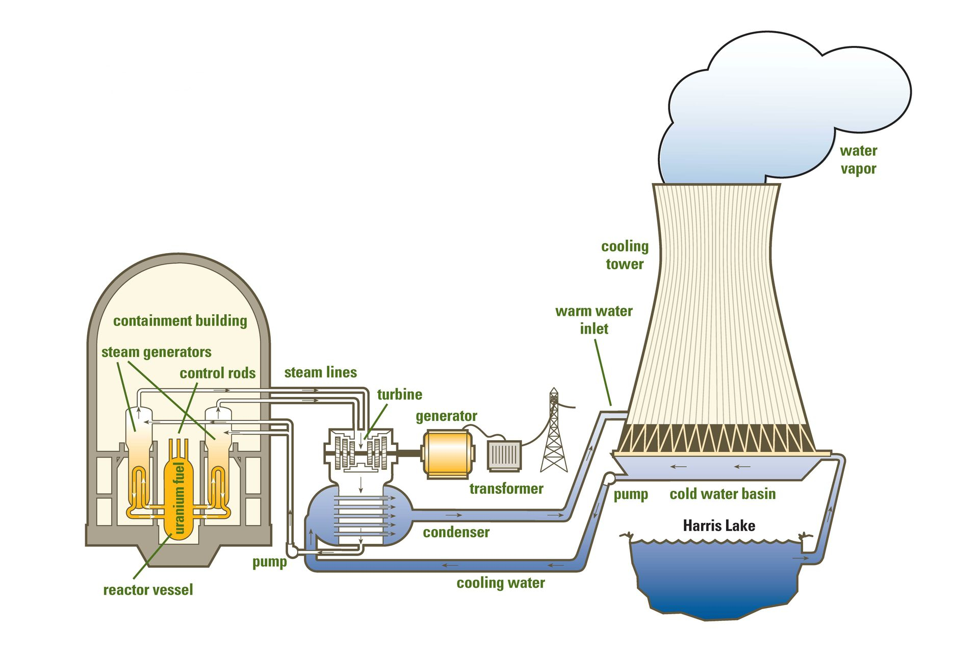 Nuclear Energy Diagram Plant Spotlight Harris Nuclear Plant Duke Energy Nuclear