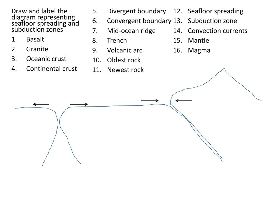 Ocean Floor Diagram Label Seafloor Diagram Repair Manual