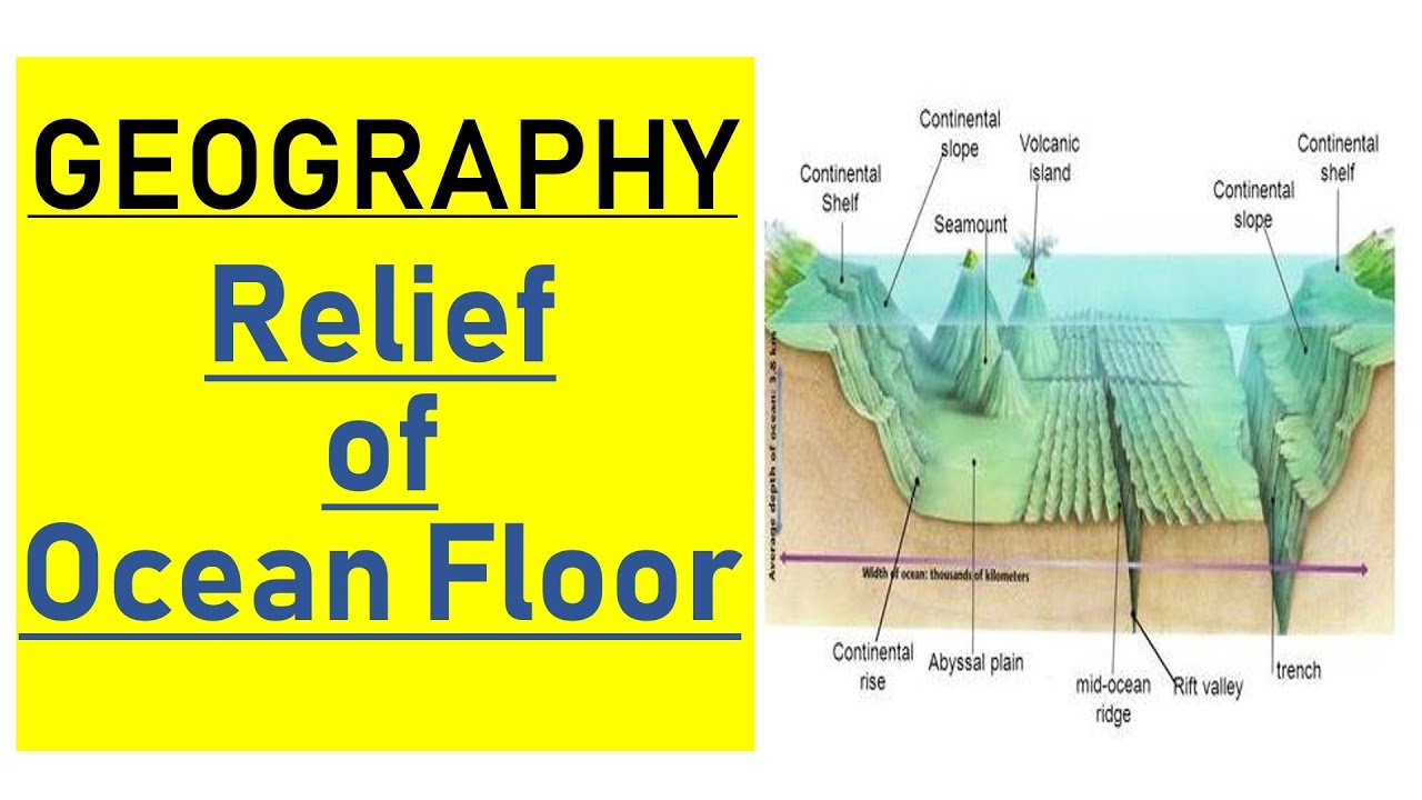 Ocean Floor Diagram Lecture 8 Relief Of Ocean Floor