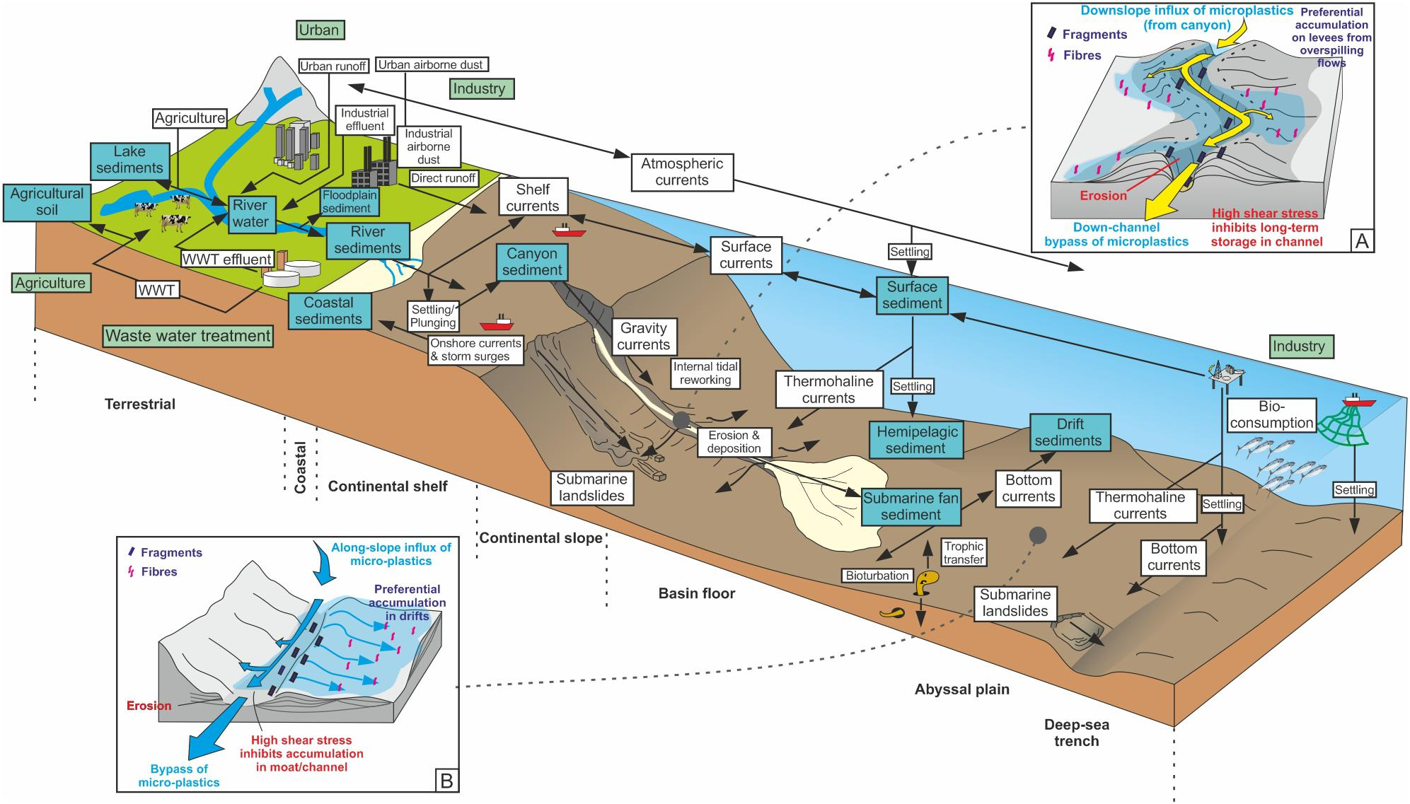 Ocean Floor Diagram Microplastics Accumulate In Hotspots For Deep Sea Life National