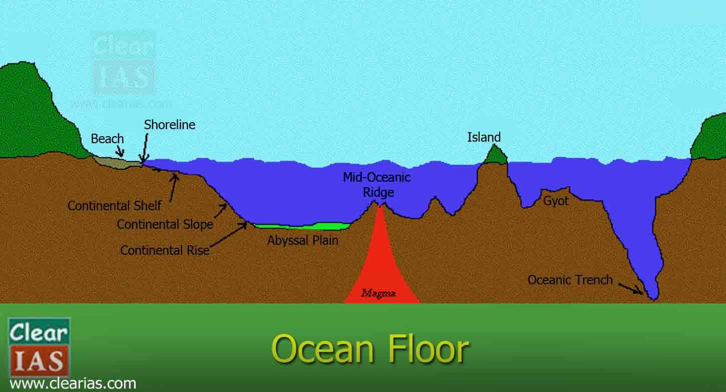 Ocean Floor Diagram Ocean Floor Everything You Need To Know Clearias