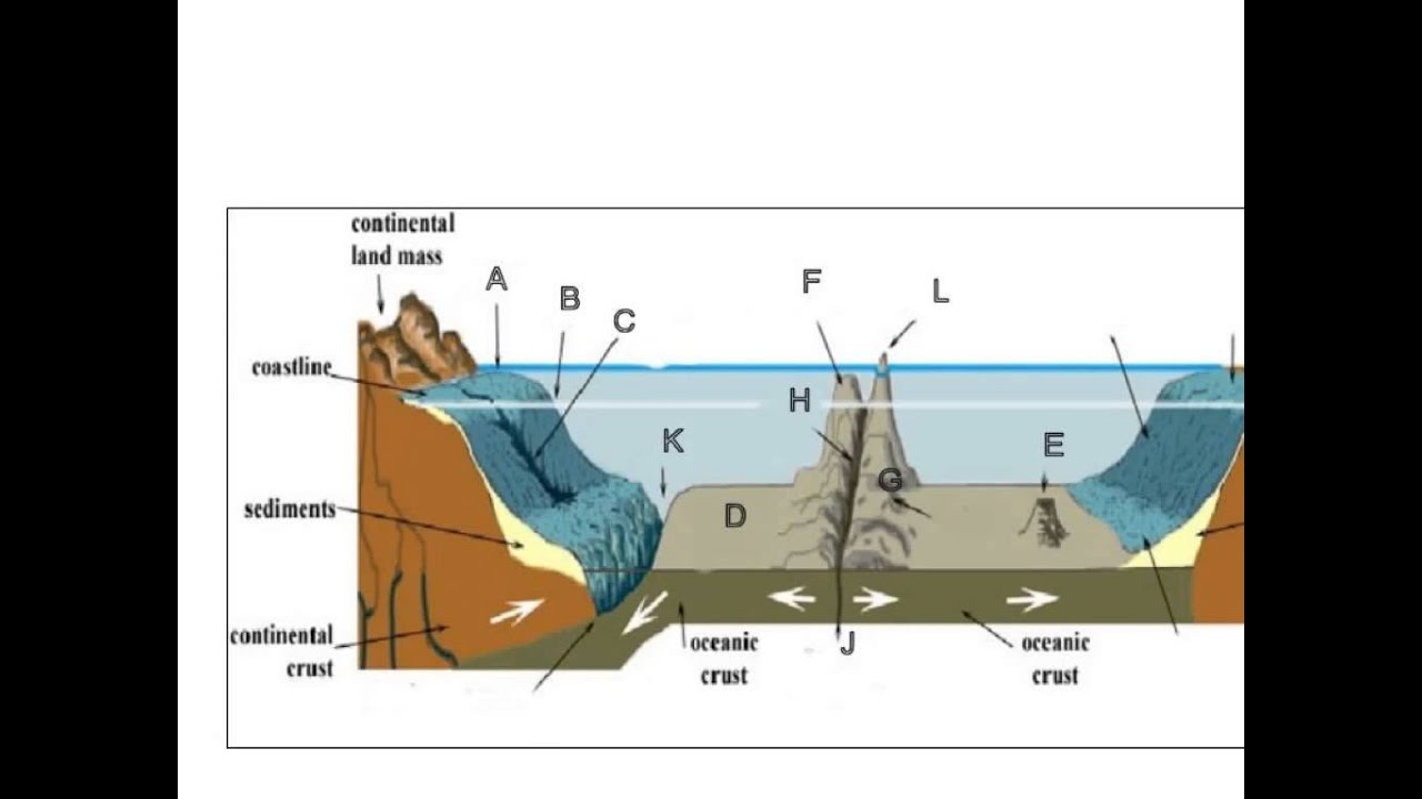 Ocean Floor Diagram Ocean Floor Topography