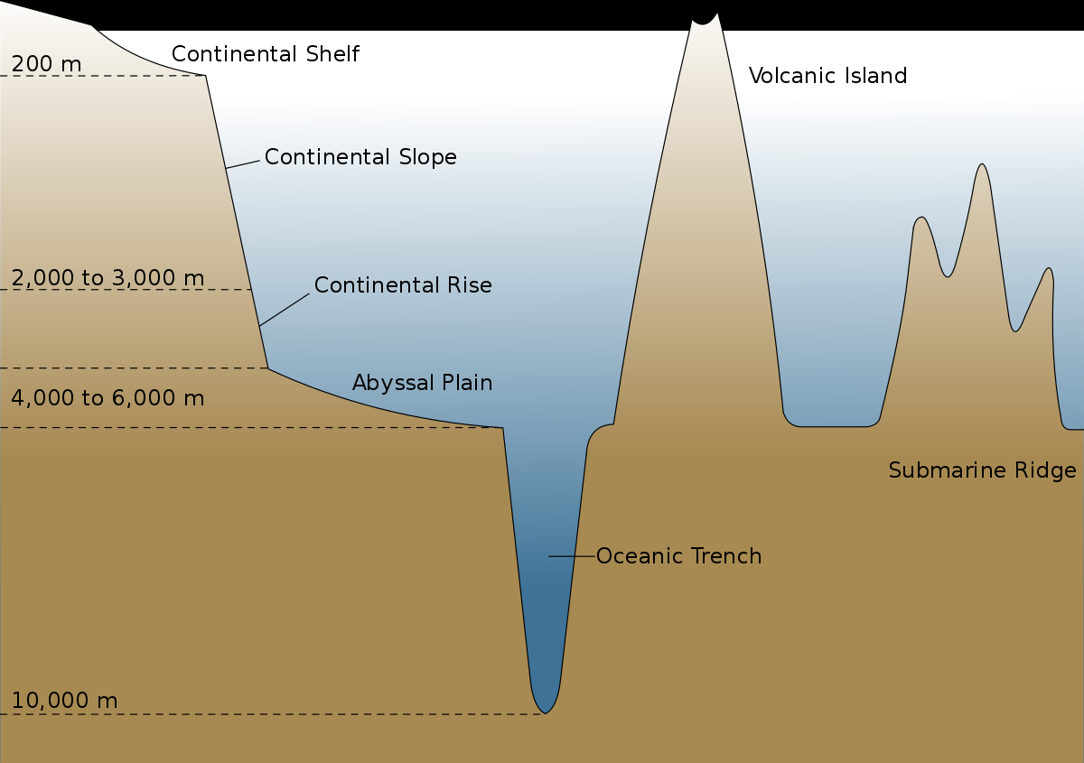 Ocean Floor Diagram Oceanic Basin Wikipedia