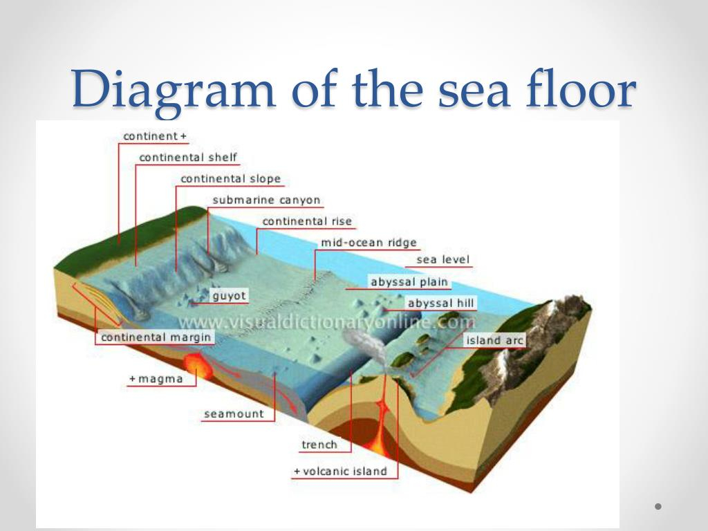 Ocean Floor Diagram Ppt Parts Of The Ocean Floor Powerpoint Presentation Id2365377