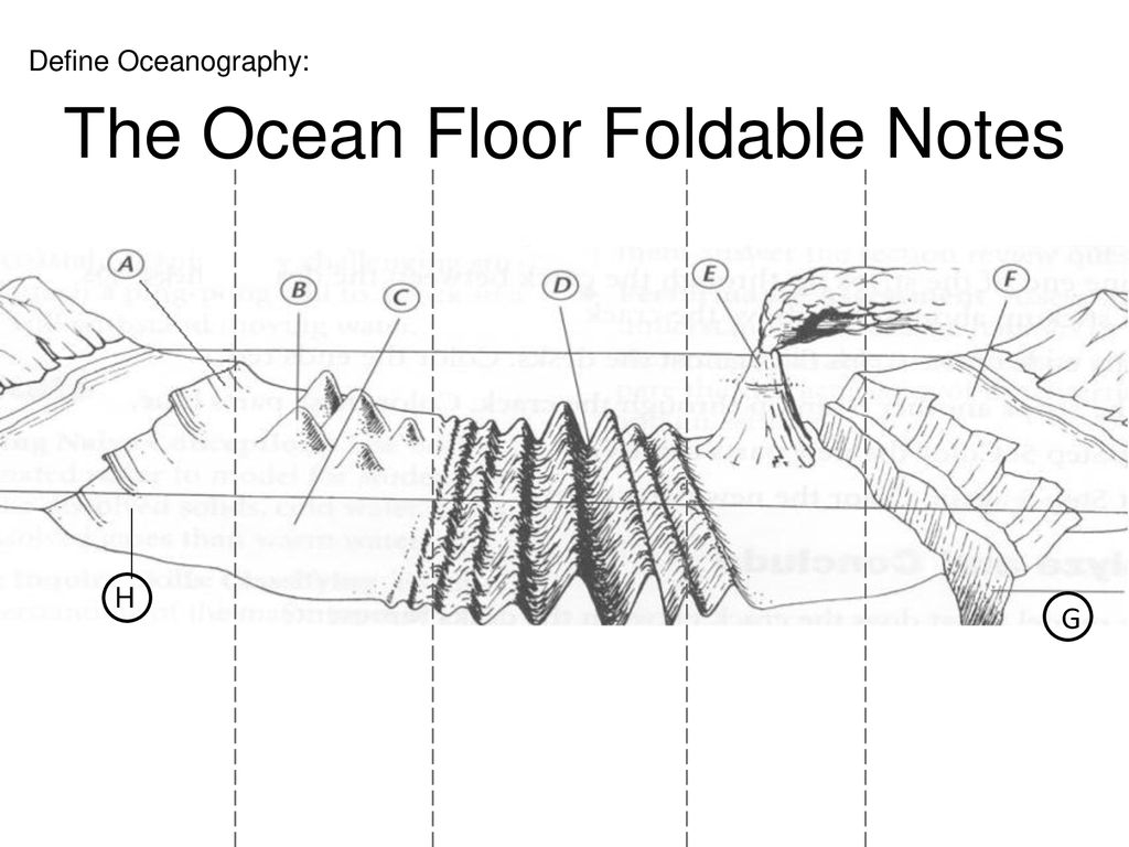 Ocean Floor Diagram The Ocean Floor Foldable Notes Ppt Download