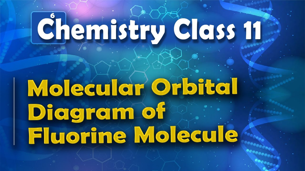 Orbital Diagram For Fluorine Molecular Orbital Diagram Of Fluorine Molecule Nature Of Chemical Bond Chemistry Class 11