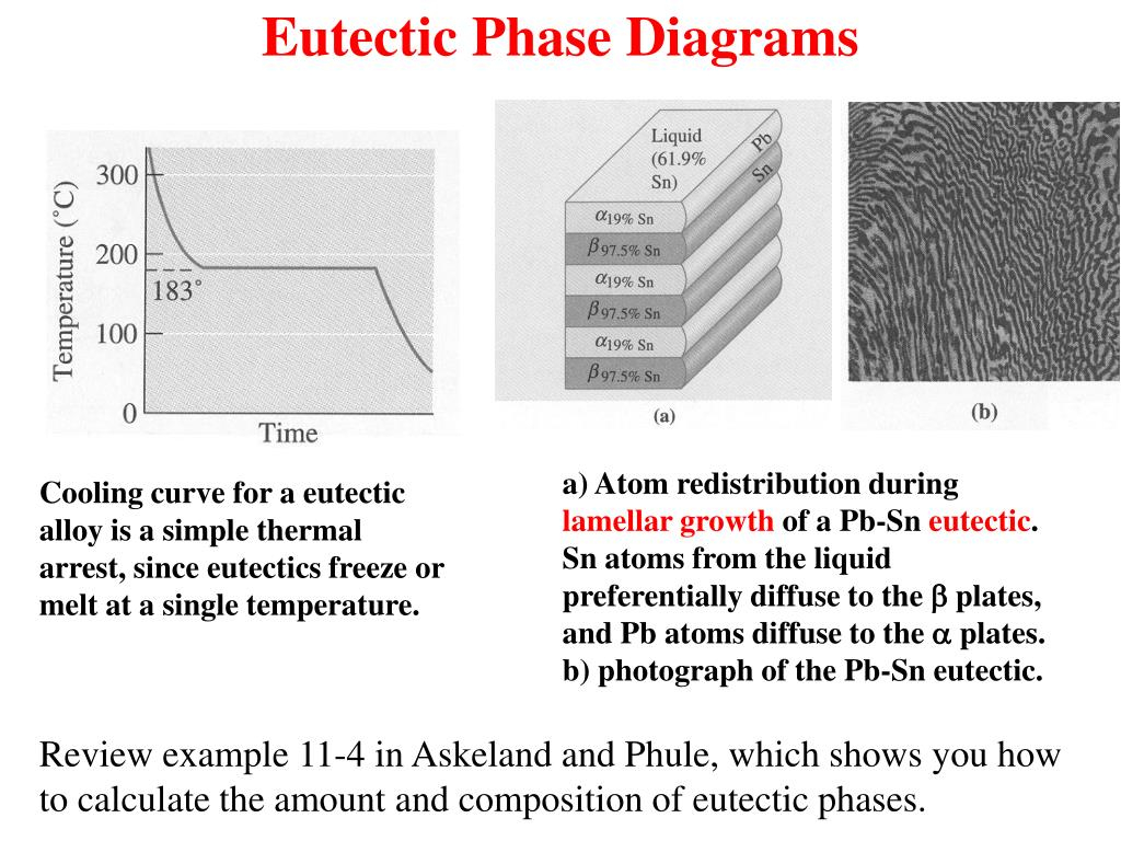 Pb Sn Phase Diagram Ppt Phase Diagrams Powerpoint Presentation Id4567703