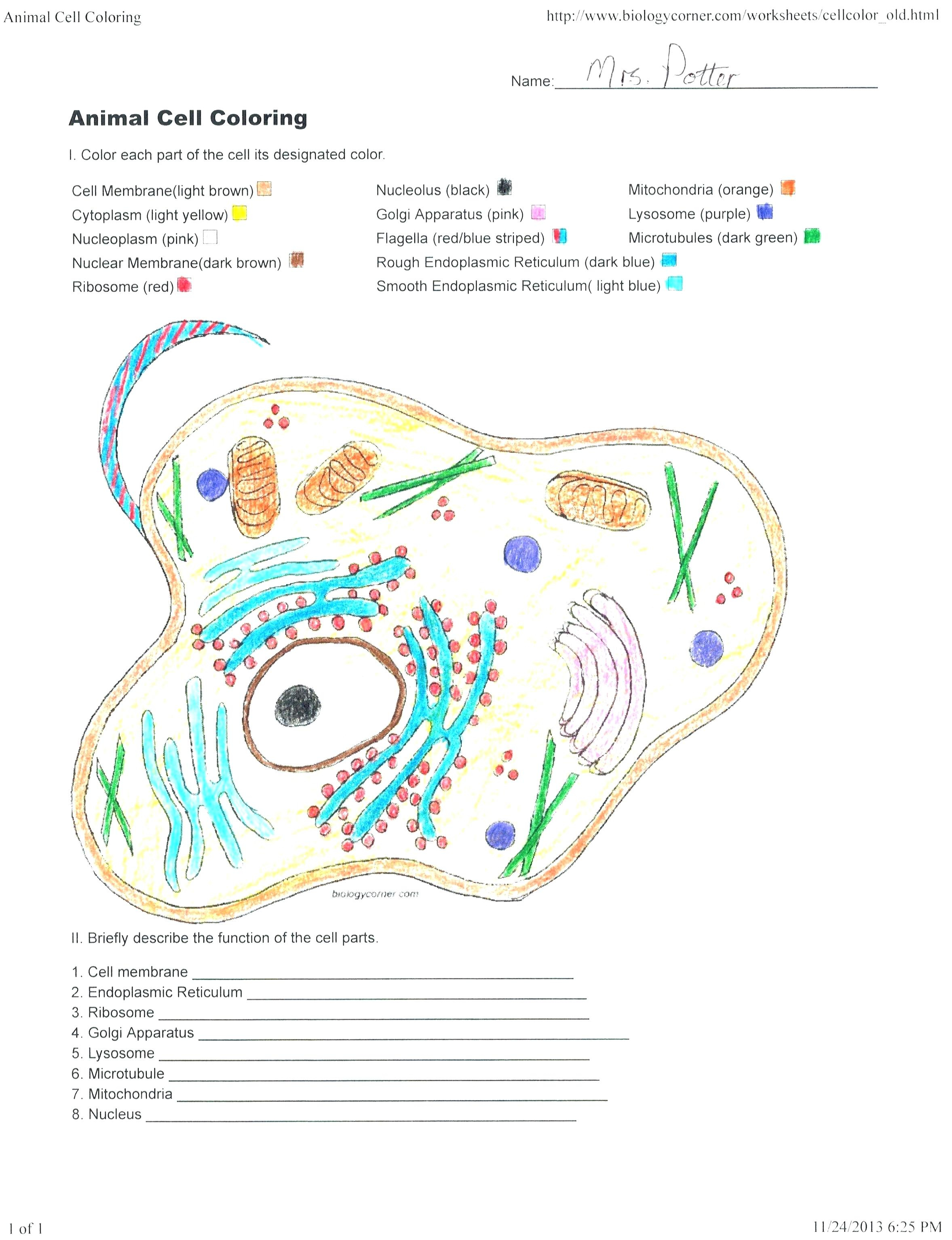 Plant And Animal Cell Diagram Animal Cell Diagram Coloring Worksheet Templarcolorco