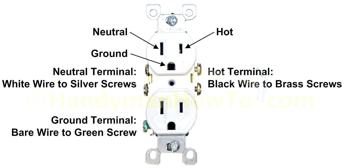 Plug Wiring Diagram Male Plug Wiring Diagram Today Diagram Database