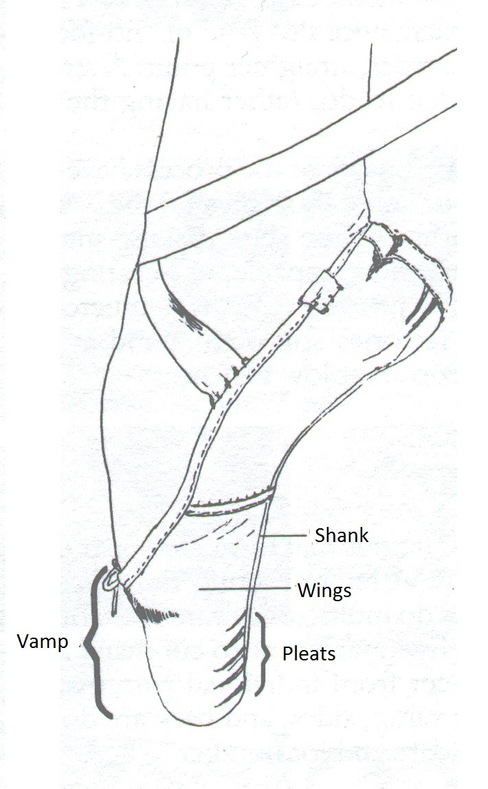Pointe Shoe Diagram A Diagram With Pointe Shoes Parts Miss Ballet Pointe Shoe