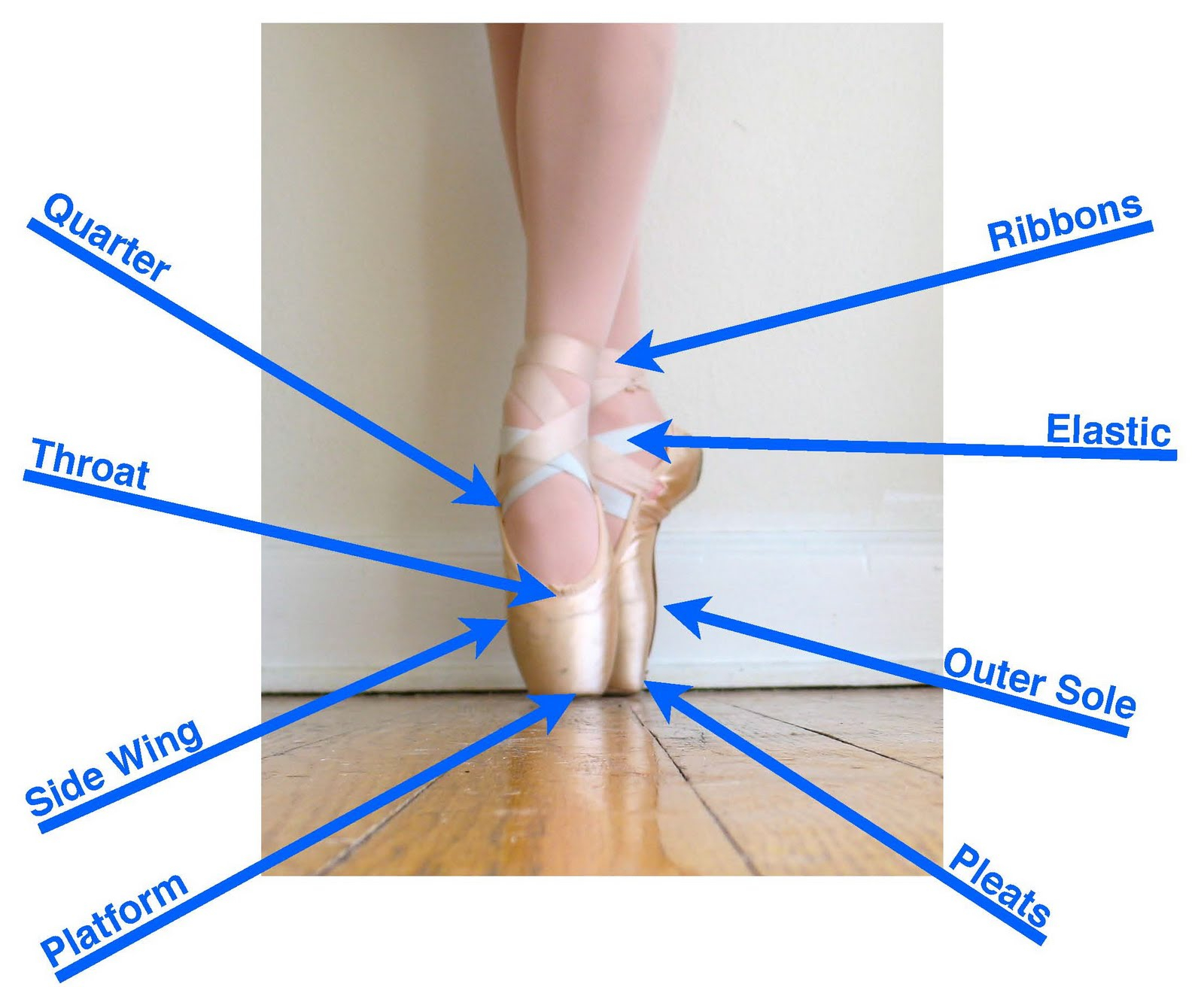 Pointe Shoe Diagram Pointe Shoe Anatomy Ballet For Me And You