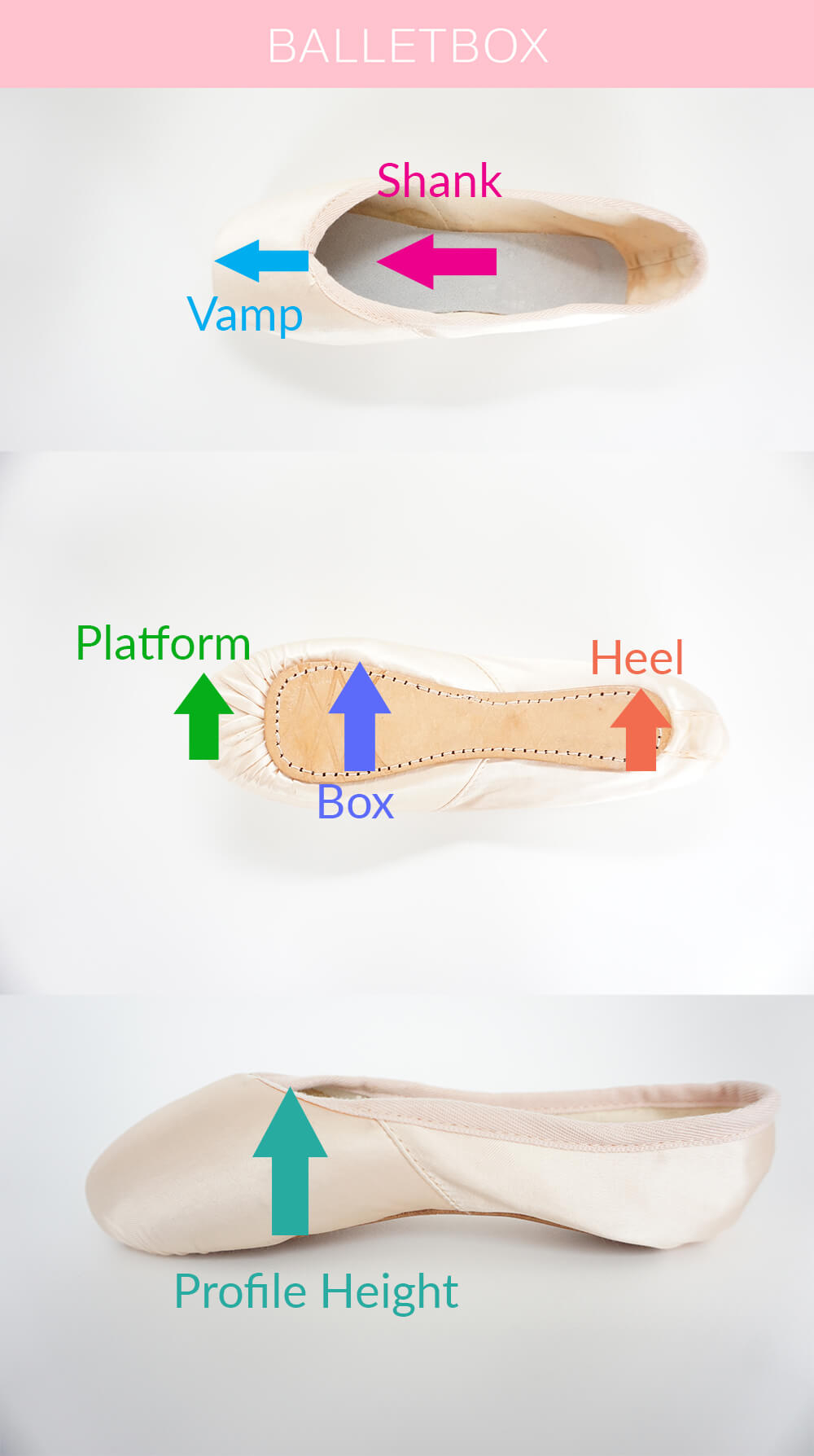 Pointe Shoe Diagram Pointe Shoe Fitting Complete Guide To Getting The Best Pointe Shoes