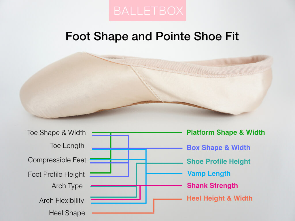 Pointe Shoe Diagram Pointe Shoe Fitting Complete Guide To Getting The Best Pointe Shoes