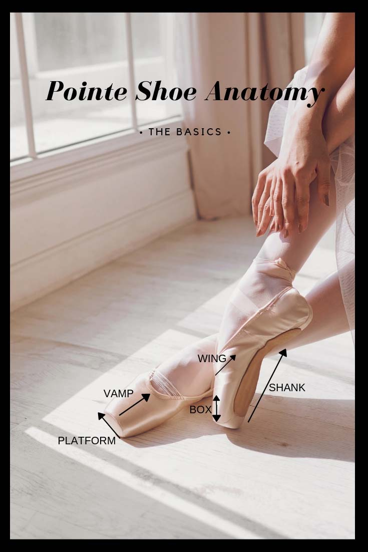 Pointe Shoe Diagram Pointe Shoe Fittings For Dancers In Calgary And Surrounding Area