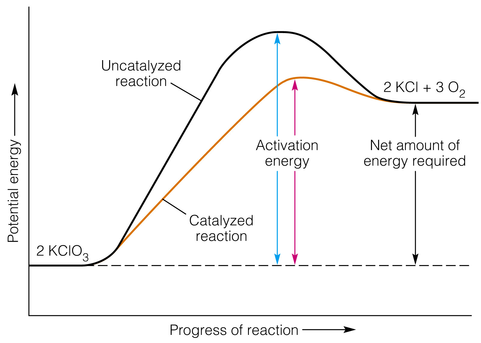 Potential Energy Diagram Media Portfolio