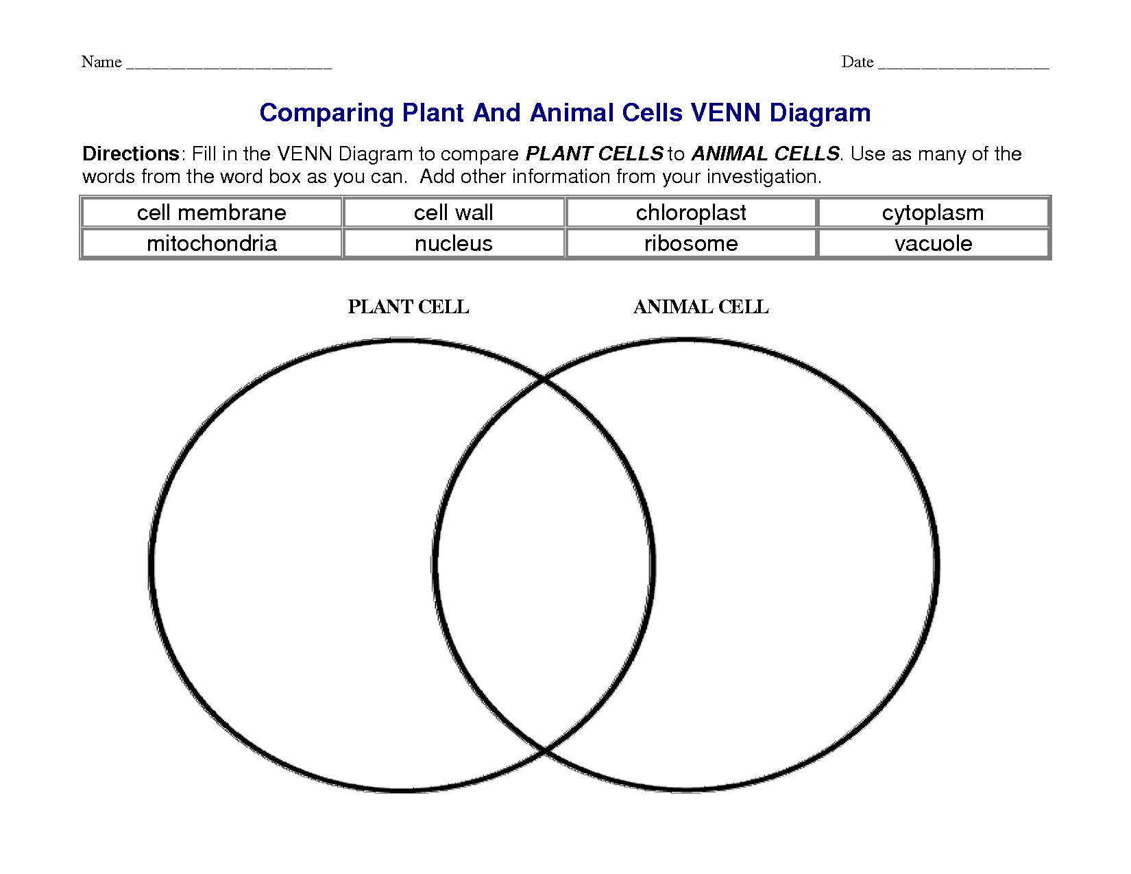 Printable Venn Diagram Prokaryotic Cells And Eukaryotic Cells Venn Diagram Electrical