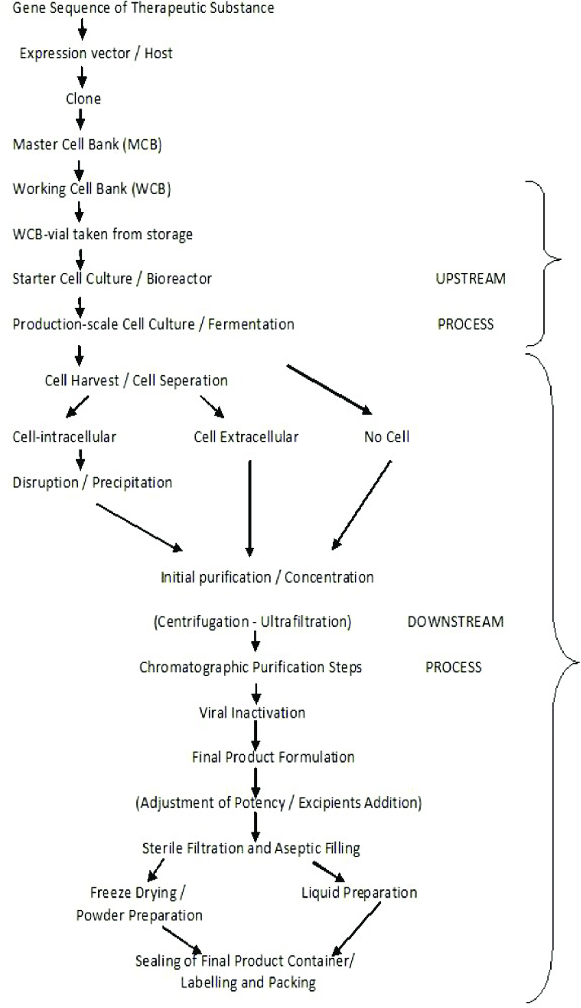 Process Flow Diagram Standard For Process Flow Diagram Wiring Diagram Local
