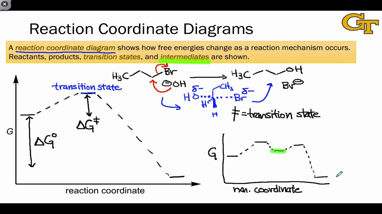 Reaction Coordinate Diagram 0402 Reaction Coordinate Diagrams And Stability Trends