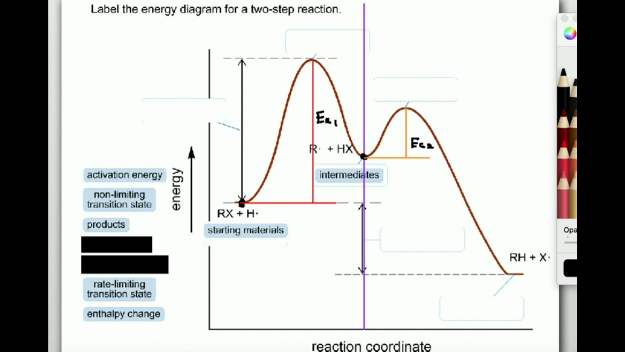Reaction Coordinate Diagram Labeling Parts Of A Reaction Coordinate Diagram