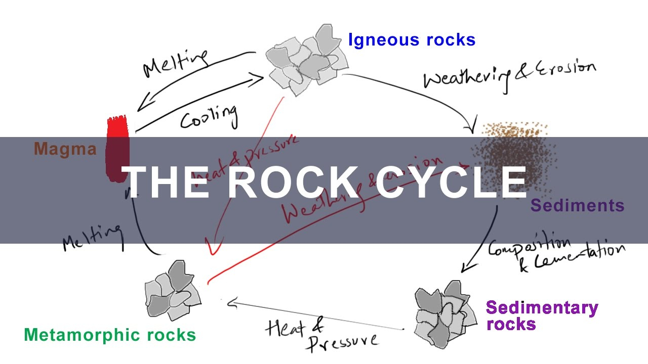 Rock Cycle Diagram Rock Cycle Formation Of Igneous Metamorphic Sedimentary Rocks Geology
