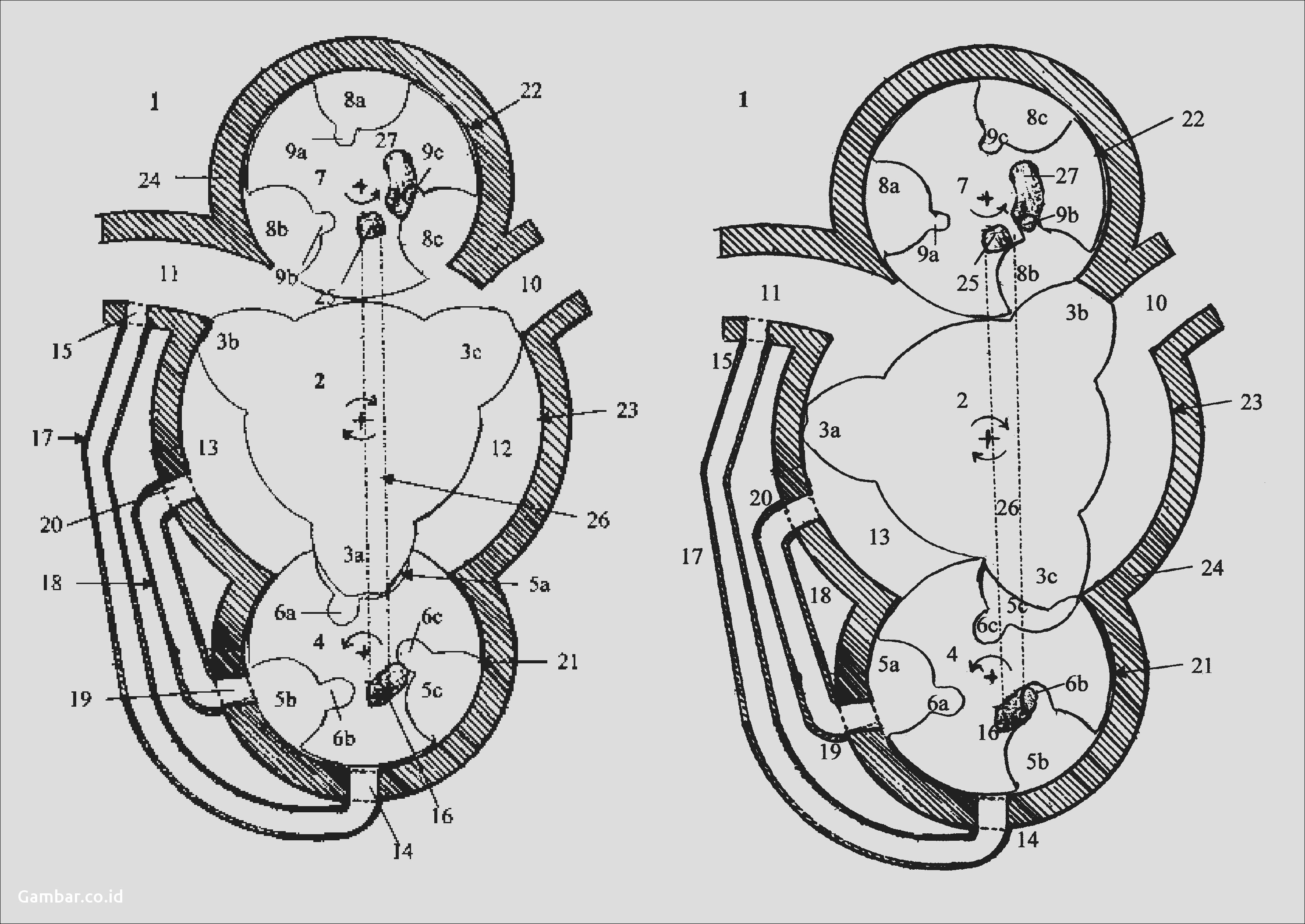 Rotary Engine Diagram Power Rangers Coloring Pages Online Luxury Power Ranger Rotary