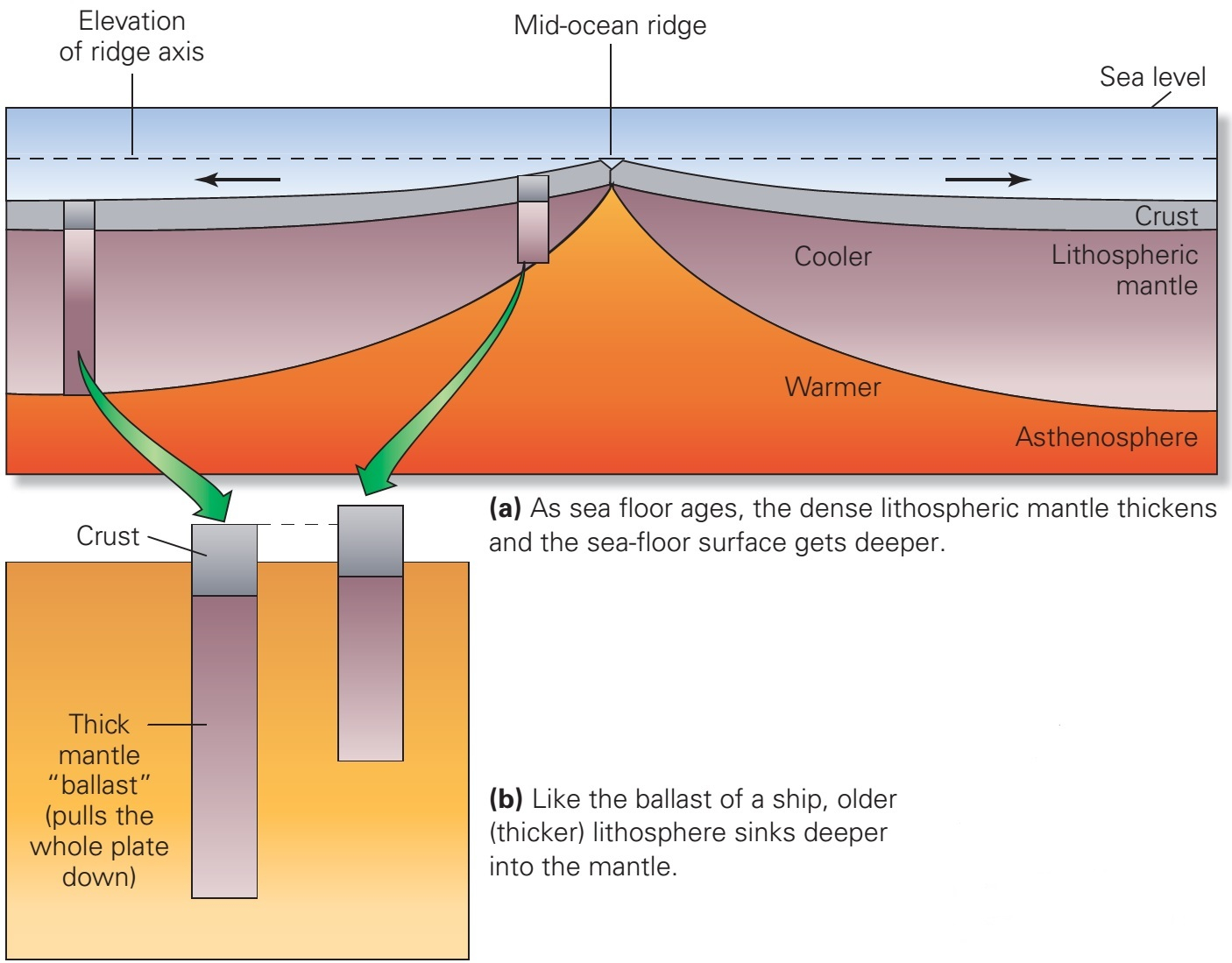 Sea Floor Spreading Diagram Divergent Plate Boundaries And Sea Floor Spreading Learning Geology
