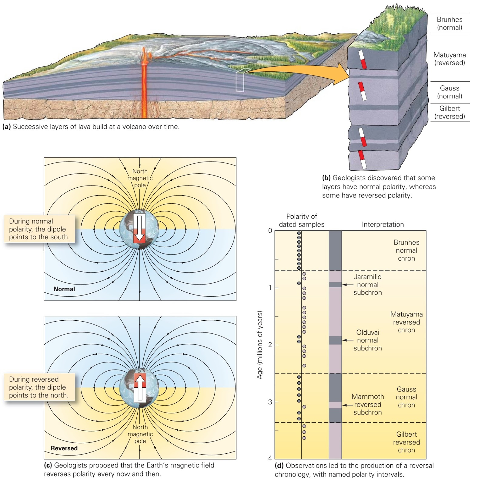 Sea Floor Spreading Diagram Evidence For Sea Floor Spreading Learning Geology